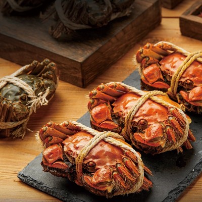 鲜活大闸蟹螃蟹苏州直发鲜活水产大闸蟹诚邀代理团购合作图3