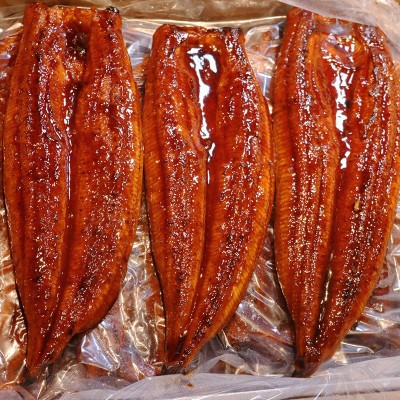 厂家批发供应蒲烧鳗鱼25P 日式烤鳗鱼片 寿司料理鳗鱼饭图3