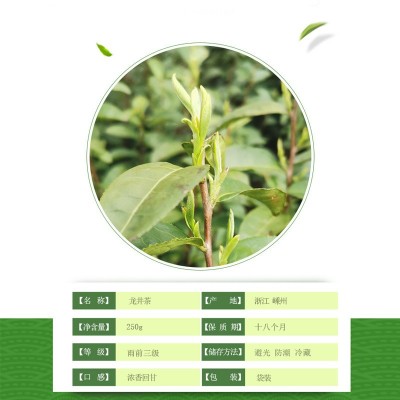 龙井茶叶批发2025新茶龙井茶袋装绿茶250g厂家批发越乡浙江龙井茶图2