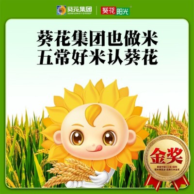 葵花阳光五常大米5KG 优质一等 劲道香甜 送礼佳品图3