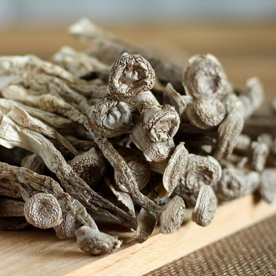 鹿茸菇鹿茸菌干货500g鹿茸菇干货鹿茸菌干货食用菌批发特色菌菇图5