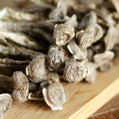 鹿茸菇鹿茸菌干货500g鹿茸菇干货鹿茸菌干货食用菌批发特色菌菇图3