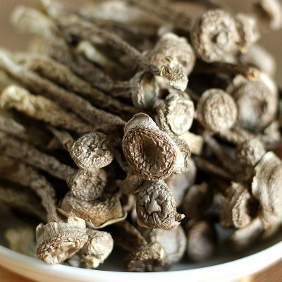 鹿茸菇鹿茸菌干货500g鹿茸菇干货鹿茸菌干货食用菌批发特色菌菇图2