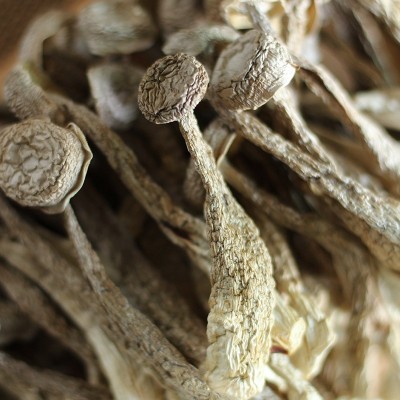 鹿茸菇鹿茸菌干货500g鹿茸菇干货鹿茸菌干货食用菌批发特色菌菇图4