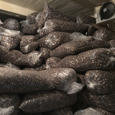 福建香菇干货批发剪脚根短肉厚古田香菇批发干香菇厚菇冬菇500克图4