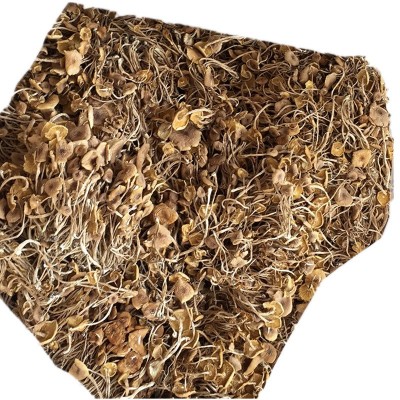 君志 江西广昌开伞茶树菇干货批发 3号5号细条餐饮沙县小吃食用菌