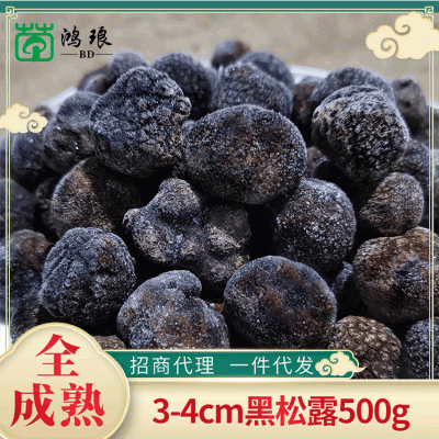 云南特产速冻黑松露3-4cm散装500g产地批发块菌食用菌菇产地直供图5
