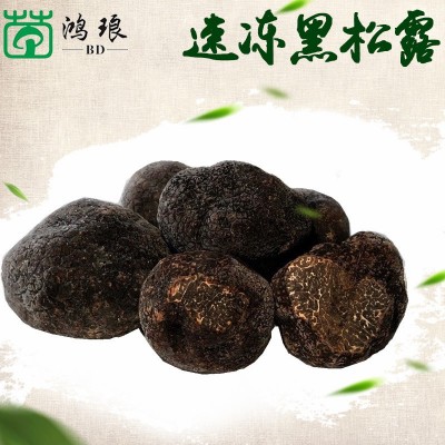 云南速冻黑松露3-4cm全成熟黑芯250g 冰鲜块菌产地批发野生菌菇图4