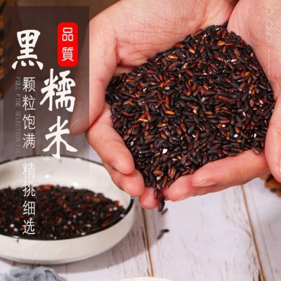批发东北黑糯米 黑糯血糯米农家特产五谷杂粮袋装25Kg图4