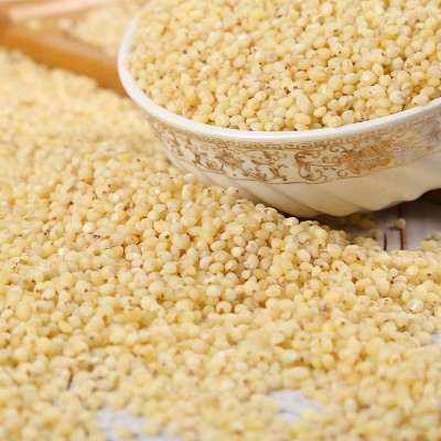 大量批发 高粱米熬粥 高粱去皮高粱米五谷杂粮健康粗粮袋装36斤图3