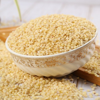 大量批发 高粱米熬粥 高粱去皮高粱米五谷杂粮健康粗粮袋装36斤图2