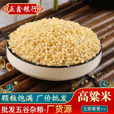 大量批发 高粱米熬粥 高粱去皮高粱米五谷杂粮健康粗粮袋装36斤图5