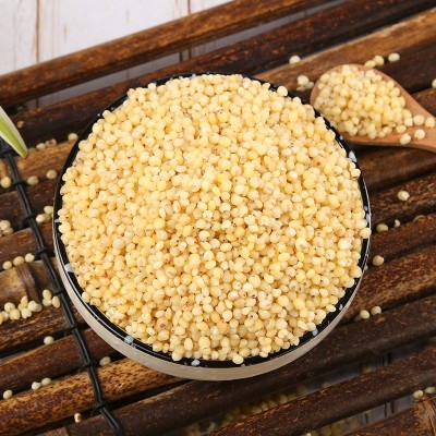 大量批发 高粱米熬粥 高粱去皮高粱米五谷杂粮健康粗粮袋装36斤图4